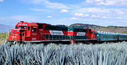 Tequila Express Experience all inclusive Tequila Package | Tequila Express